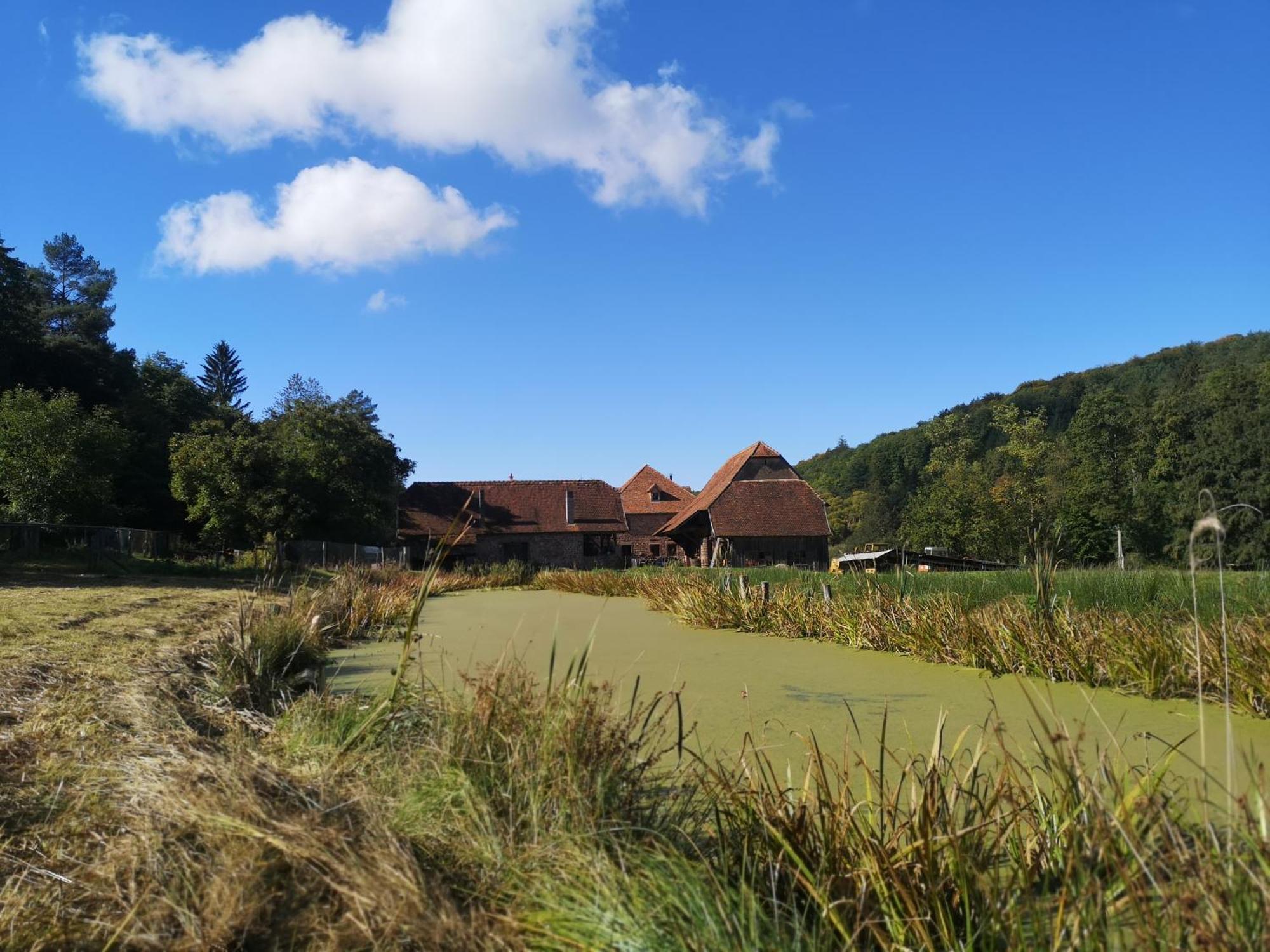 Maison D'Hotes De Charme - Ancien Moulin En Pleine Nature - La Paulusmuehle Soucht 外观 照片