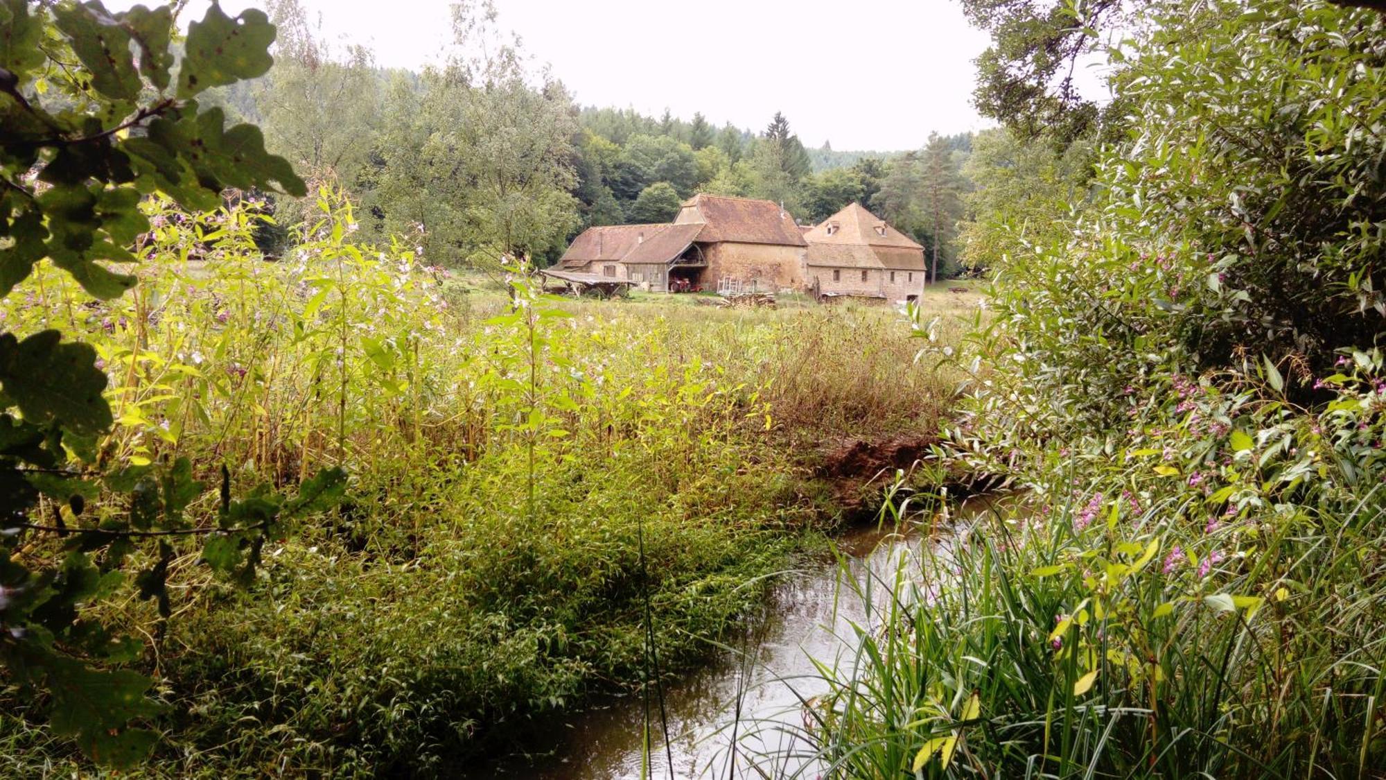 Maison D'Hotes De Charme - Ancien Moulin En Pleine Nature - La Paulusmuehle Soucht 外观 照片
