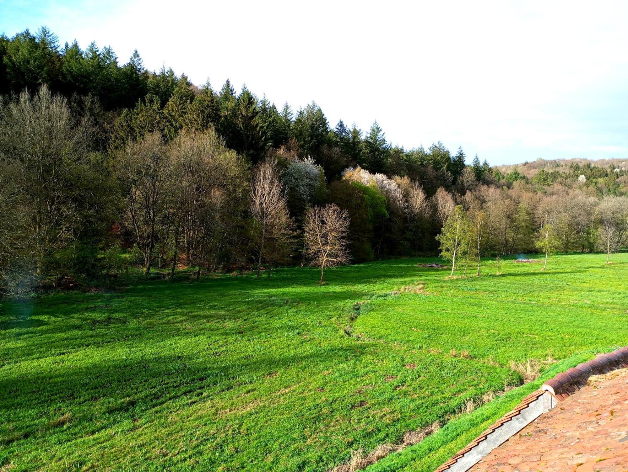 Maison D'Hotes De Charme - Ancien Moulin En Pleine Nature - La Paulusmuehle Soucht 外观 照片