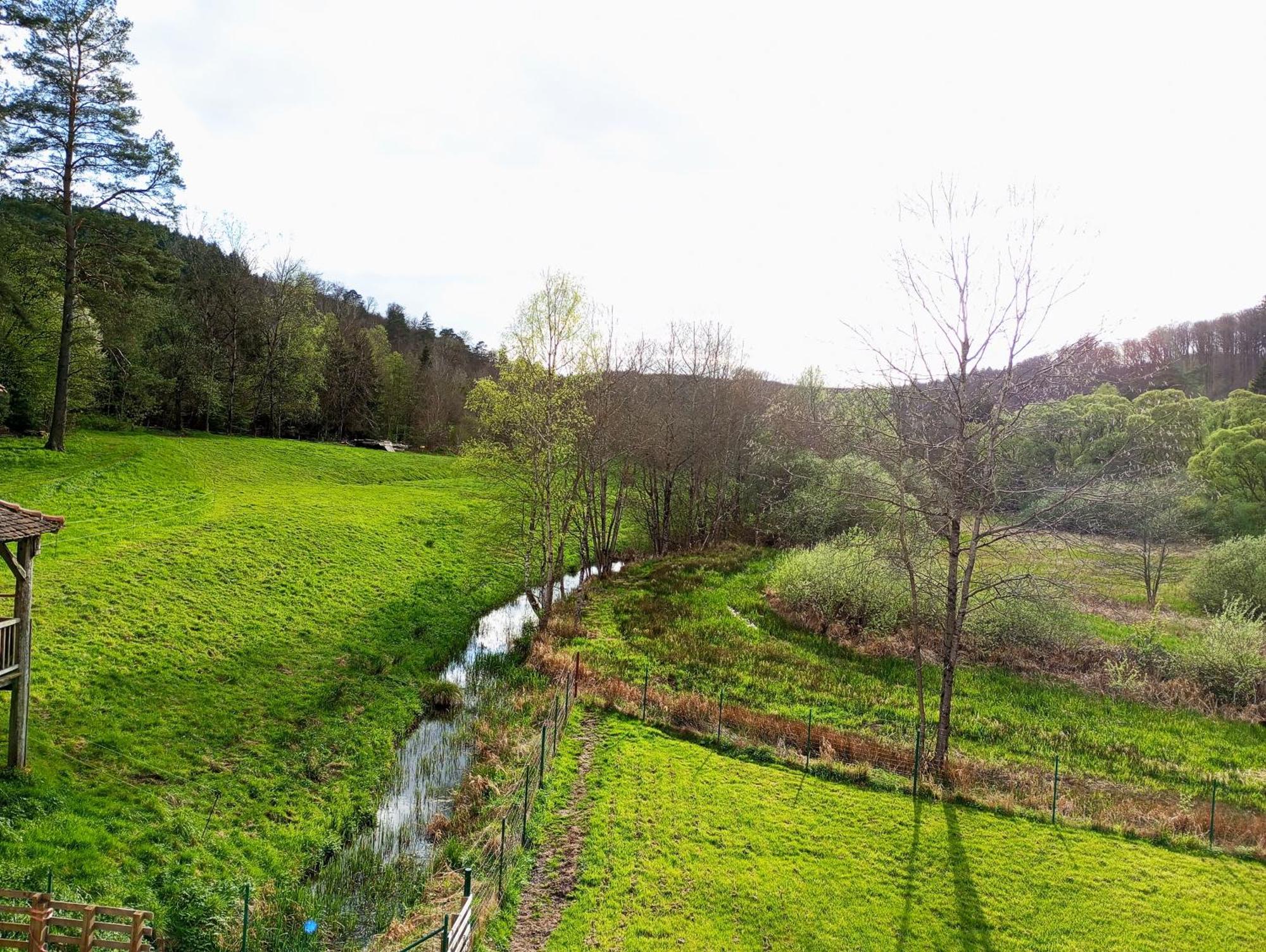 Maison D'Hotes De Charme - Ancien Moulin En Pleine Nature - La Paulusmuehle Soucht 外观 照片