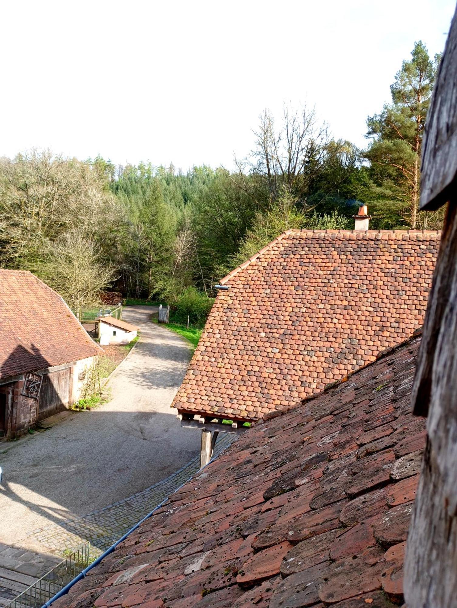 Maison D'Hotes De Charme - Ancien Moulin En Pleine Nature - La Paulusmuehle Soucht 外观 照片