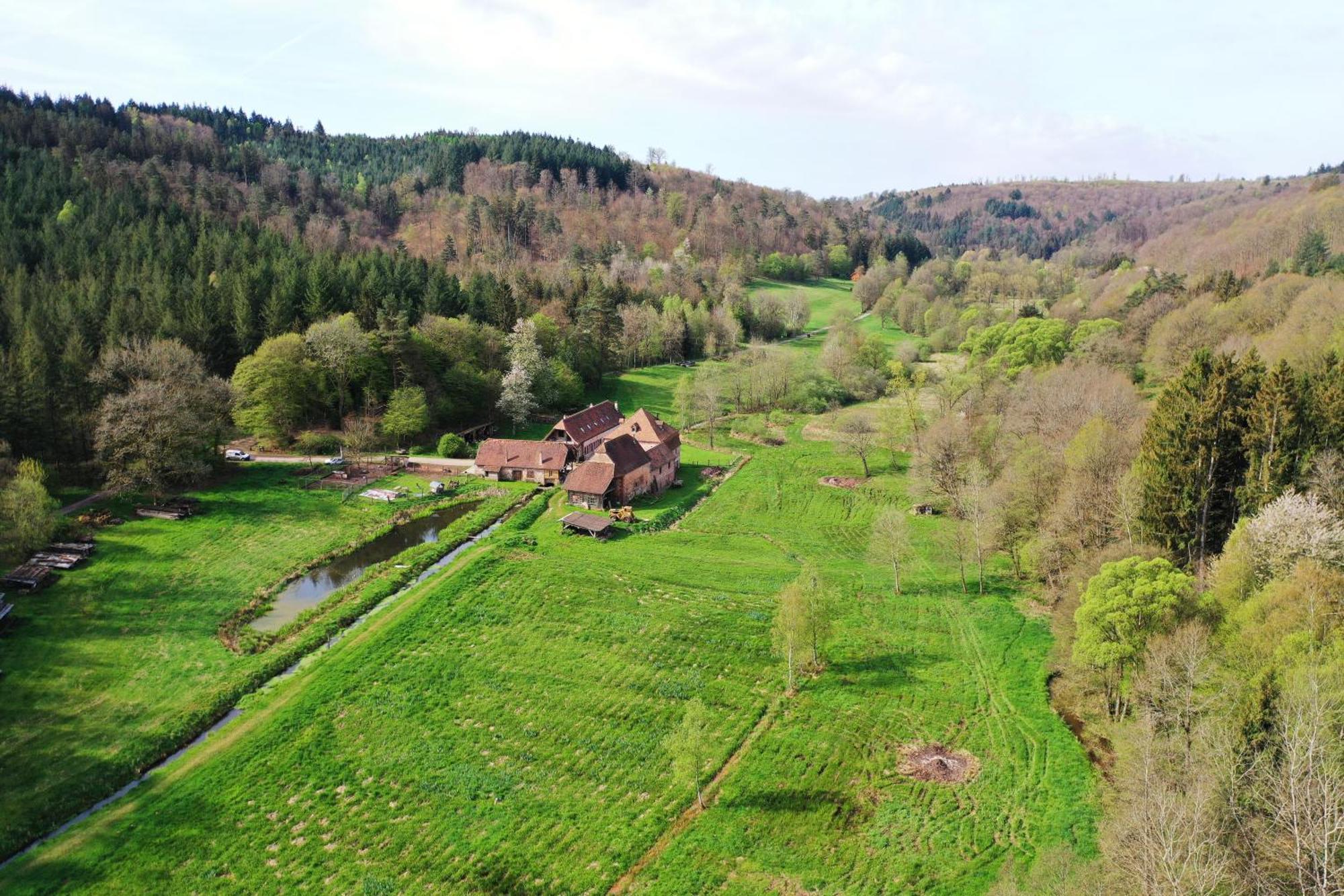 Maison D'Hotes De Charme - Ancien Moulin En Pleine Nature - La Paulusmuehle Soucht 外观 照片