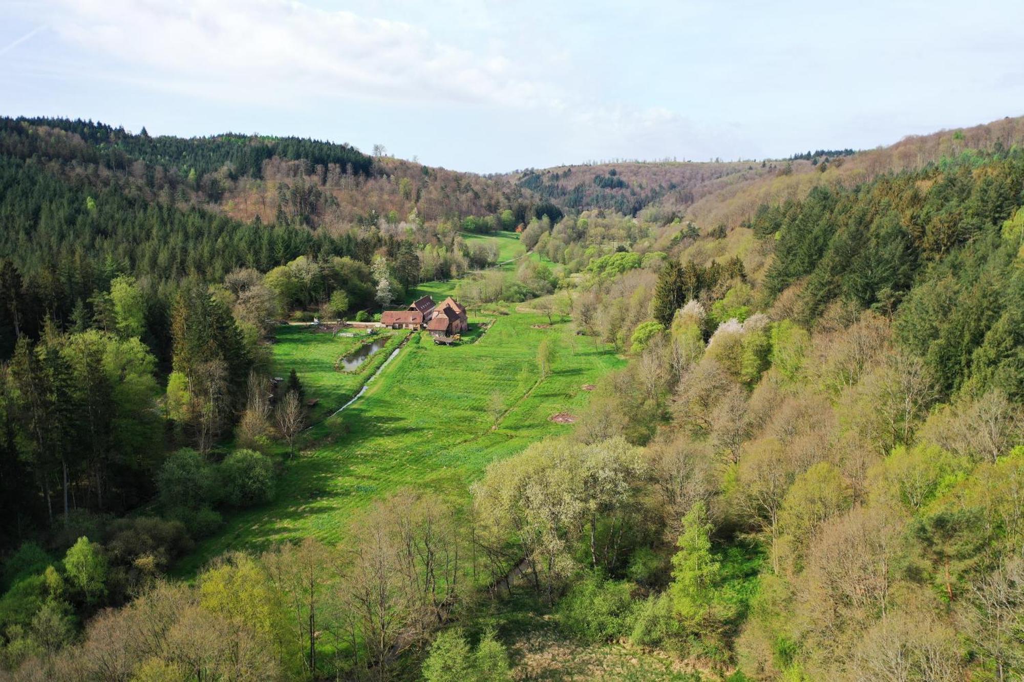 Maison D'Hotes De Charme - Ancien Moulin En Pleine Nature - La Paulusmuehle Soucht 外观 照片