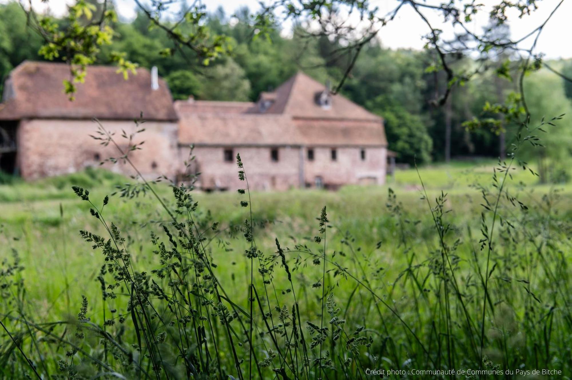 Maison D'Hotes De Charme - Ancien Moulin En Pleine Nature - La Paulusmuehle Soucht 外观 照片