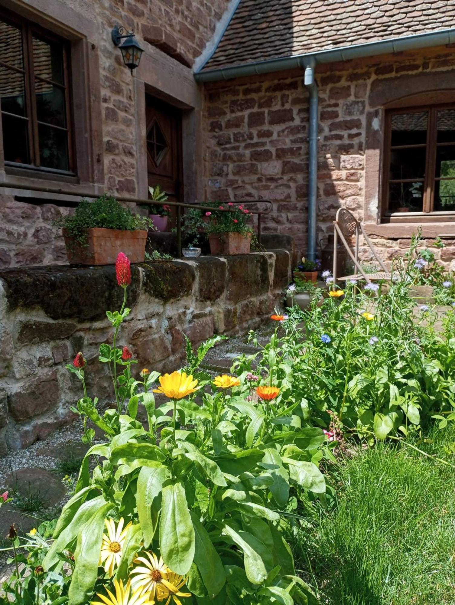 Maison D'Hotes De Charme - Ancien Moulin En Pleine Nature - La Paulusmuehle Soucht 外观 照片